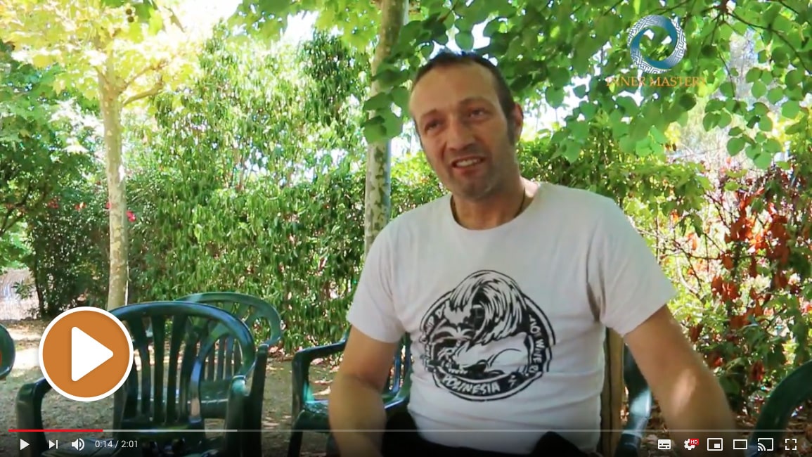Testimonio Andres, participante en retiro de Ayahuasca Internacional